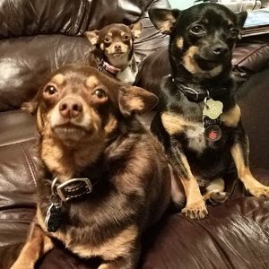 Meet your Posher, Cathy